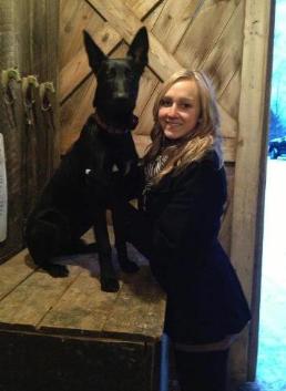 Murphy Hero PSD Malinois saved owners life