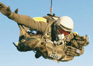 Navy seal jumping with MWD 02