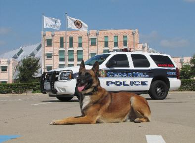 PSD Kennels Police dog purchased and beloved by Cedar Hills Police dept