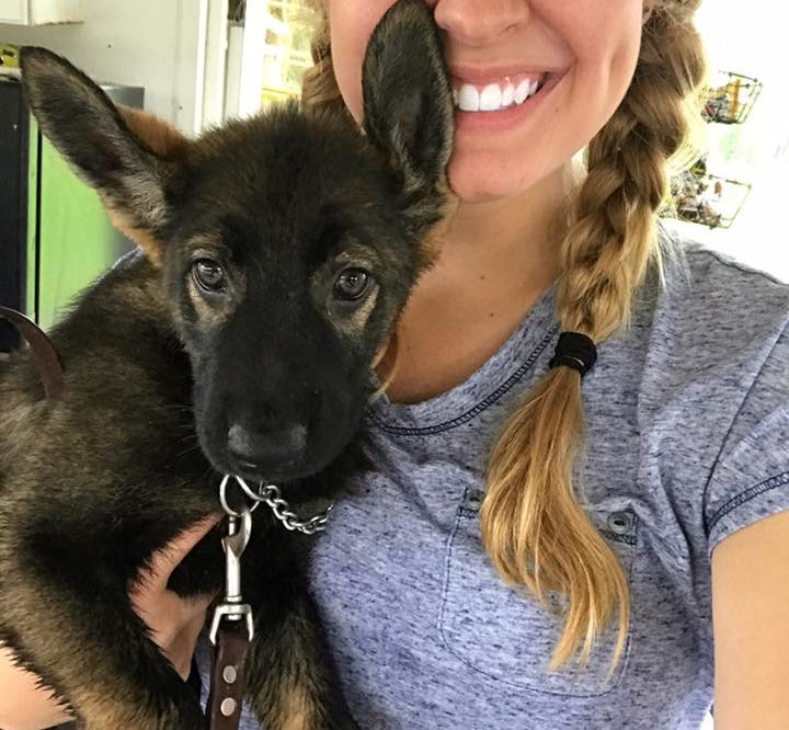 PSD Kennels puppy and training review